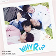 Why R U? (Original OTT Soundtrack) | Lee Ji Seok