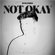 Not Okay | Remo Forrer