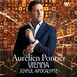 Vienna: Joyful Apocalypse - Kreisler: 3 Alt-Wiener Tanzweisen: No. 2, Liebesleid (Arr. Rachmaninov for Piano) | Aurélien Pontier