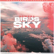Birds In The Sky | Newera