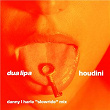 Houdini (Danny L Harle Slowride Mix) | Dua Lipa