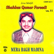 Mera Bagh Madina, Vol. 11 | Shahbaz Qamar Fareedi