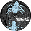 Spiders | Spiders