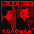 Guajira Ven | Orchestre Baobab