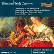 Telemann: Triple Concertos | Simon Standage