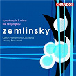 Zemlinsky: Die Seejungfrau & Symphony in D Minor | Antony Beaumont
