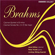 Brahms: Clarinet Quintet & Sonata for Clarinet and Piano | Janet Hilton