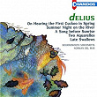 Delius: Orchestral Miniatures | Norman Del Mar