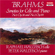 Brahms: Cello Sonatas | Raphaël Wallfisch