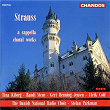Strauss, R: A Cappella Choral Works | Stefan Parkman