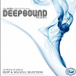 Dj SS & Influx UK Present: Deepsound, Vol. 2 | Mixmaster Doc