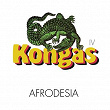 Afrodesia | Kongas