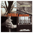 Valence Street | The Neville Brothers