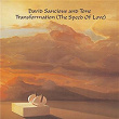 Transformation (The Speed of Love) | David Sancious