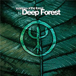 Essence Of The Forest By Deep Forest | Deep Forest