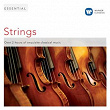 Essential Strings | Symphony Orchestra