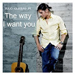 The Way I Want You | Julio Iglesias Jr.