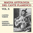 Magna Antología Del Cante Flamenco vol. X | Los Hermanos Reyes