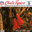 Chile Tipico Vol.1 El Copihue Rojo (Album) | Los Cuatro Hermanos Silva