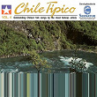 Chile Tipico Vol.4 Rio Rio (Album) | Los Huasos Quincheros