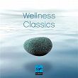 Wellness Classics | Paavo Jarvi