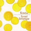 Kanebo Sound Esthetique 6 "Shokutaku no Aru Fuukei - Kiku Flavor Therapy" | Shiho Yabuki