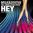 Hey (Nah Neh Nah) (feat. Vaya Con Dios) | Milk & Sugar