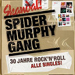 30 Jahre Rock'n'Roll | Spider Murphy Gang