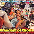 Freedom of Choice: Yesterday's New Wave Hits As Performed By Today's Stars | Sonic Youth