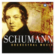 Schumann - 200th Anniversary Box - Orchestral | Staatskapelle Dresden