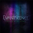What You Want | Evanescence