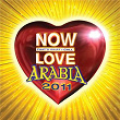 Now Love Arabia 2011 | Elissa