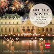 Neujahr in Wien - New Year in Vienna | Wiener Symphoniker