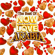 The Best of Now Love Arabia | Rabih Al Assmar