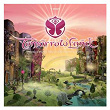 Tomorrowland 2012_02 | David Guetta