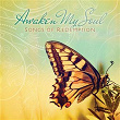 Awaken My Soul | Robbie Seay Band