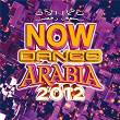 Now Dance Arabia 2012 | Fayez Al Saeed