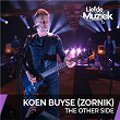 The Other Side | Zornik