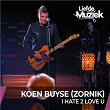 I Hate 2 Love U | Zornik