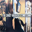 The Dandy Warhols Come Down | The Dandy Warhols
