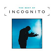 Best Of Incognito | Incognito