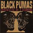 Chronicles of a Diamond | Black Pumas