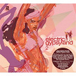 Electric Gypsyland 2 | Tunng