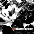 Like A Fire | Tim Vanhamel