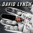 Crazy Clown Time | David Lynch