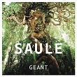 Géant | Saule