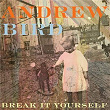 Break It Yourself | Andrew Bird