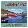 My Wild Irish Rose | John Kelly