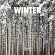 Winter | John Grant