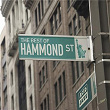 The Best of Hammond Street | Andy Lewis
